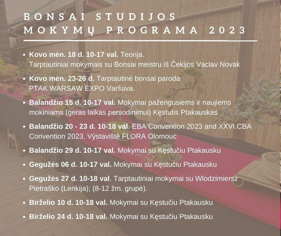 Bonsai studija mokymai 2023 programa